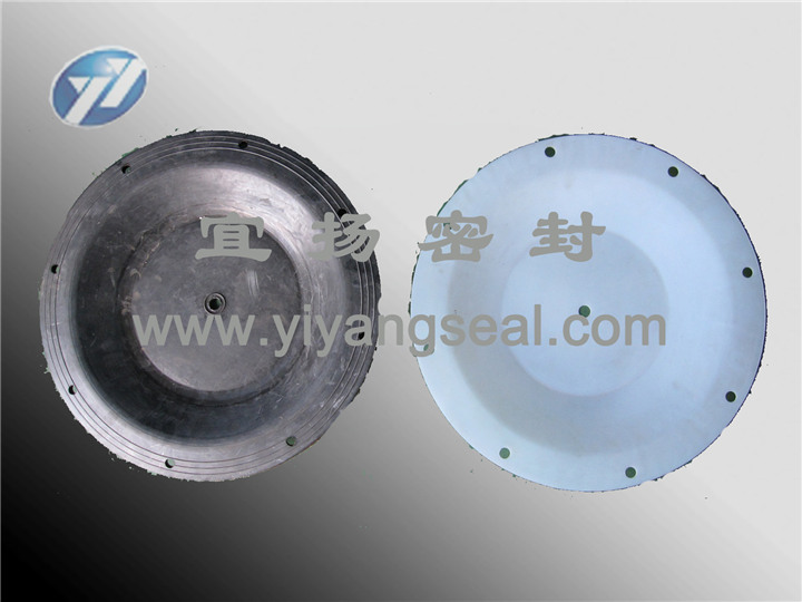 Diaphragm leaf Diaphragm leaf