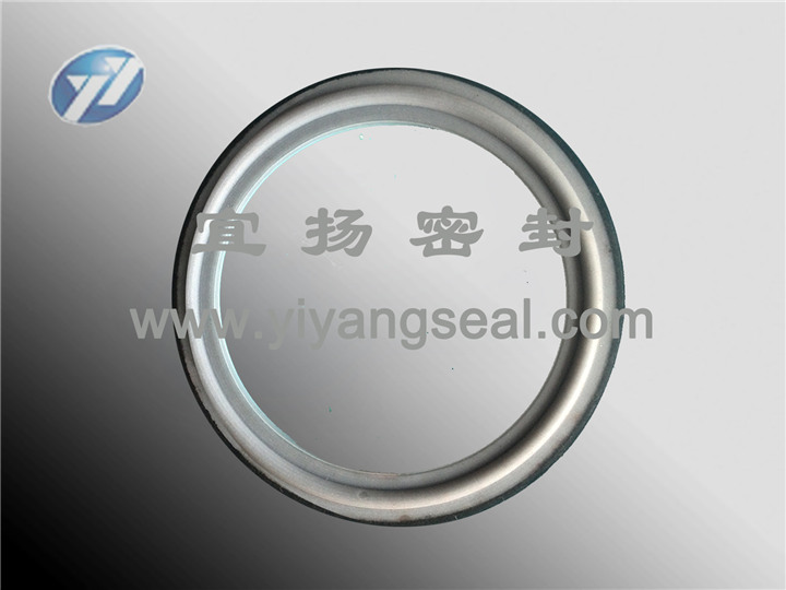Flange gasket Flange gasket